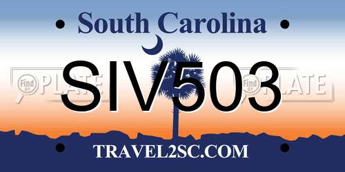 SIV503 South Carolina License Plate