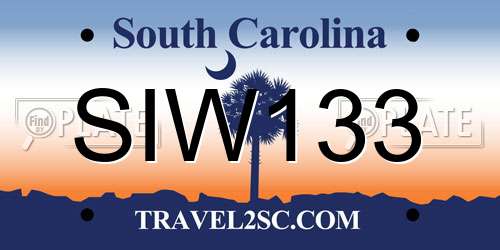 SIW133 South Carolina License Plate