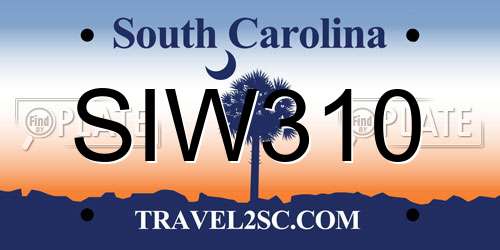 SIW310 South Carolina License Plate