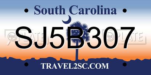SJ5B307 South Carolina License Plate