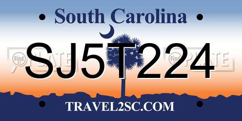 SJ5T224 South Carolina License Plate