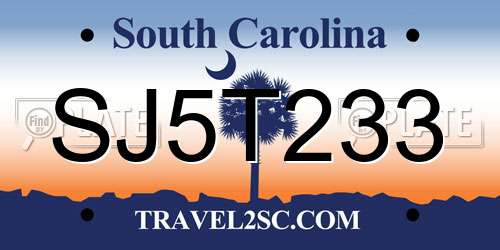 SJ5T233 South Carolina License Plate