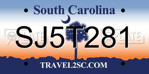SJ5T281 South Carolina License Plate