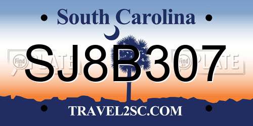 SJ8B307 South Carolina License Plate