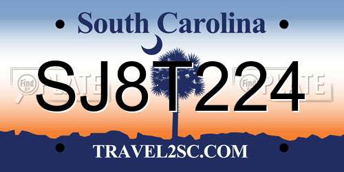 SJ8T224 South Carolina License Plate