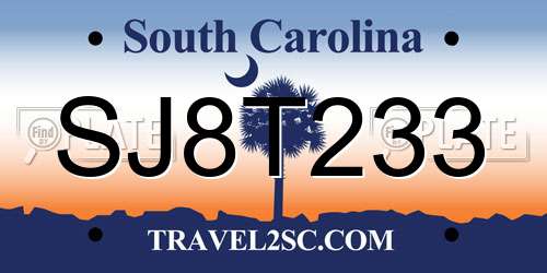 SJ8T233 South Carolina License Plate