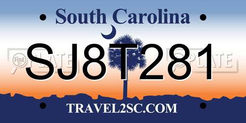 SJ8T281 South Carolina License Plate