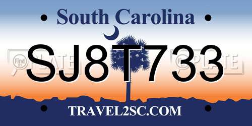 SJ8T733 South Carolina License Plate