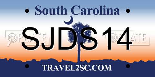 SJDS14 South Carolina License Plate