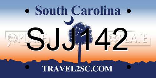 SJJ142 South Carolina License Plate