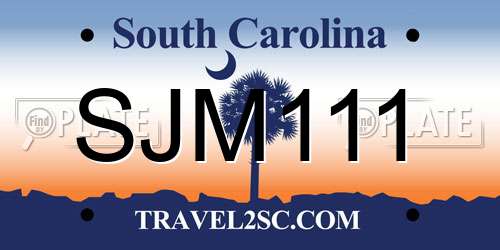 SJM111 South Carolina License Plate