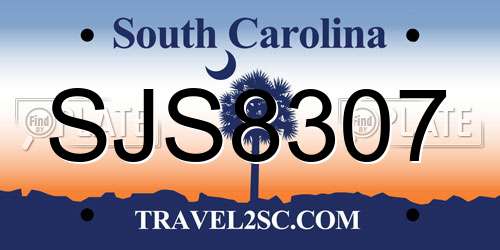 SJS8307 South Carolina License Plate