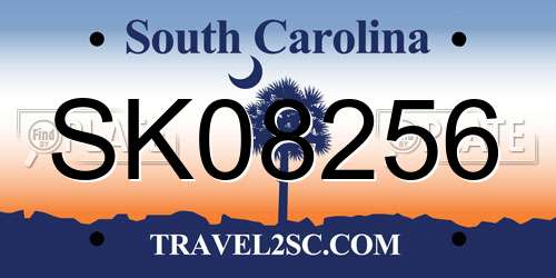 SK08256 South Carolina License Plate