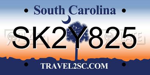 SK2Y825 South Carolina License Plate