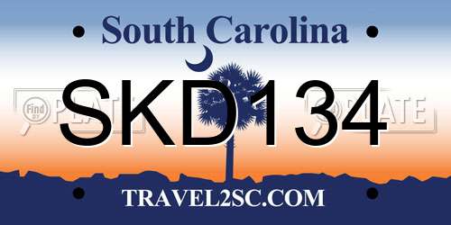 SKD134 South Carolina License Plate