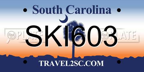 SKI603 South Carolina License Plate