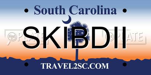 SKIBDII South Carolina License Plate