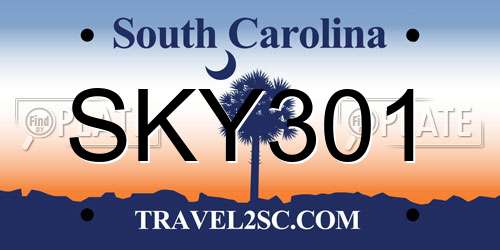 SKY301 South Carolina License Plate