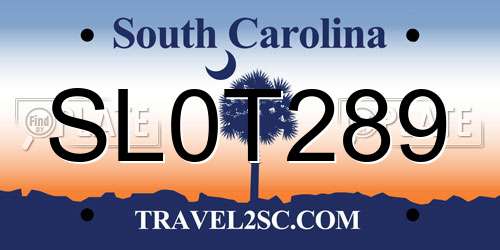 SL0T289 South Carolina License Plate