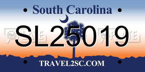 SL25019 South Carolina License Plate