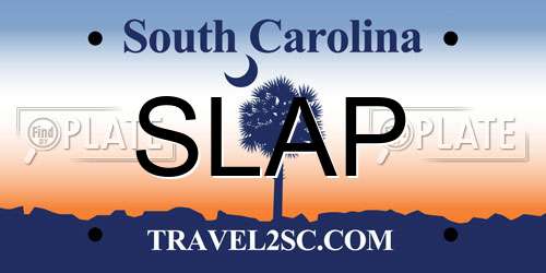SLAP South Carolina License Plate