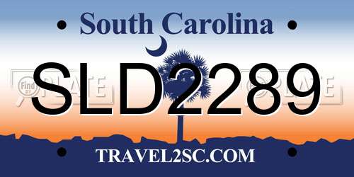 SLD2289 South Carolina License Plate