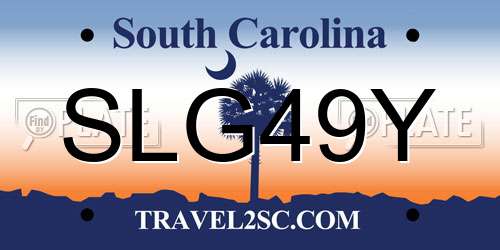 SLG49Y South Carolina License Plate