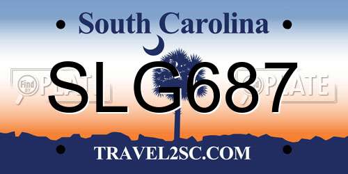 SLG687 South Carolina License Plate