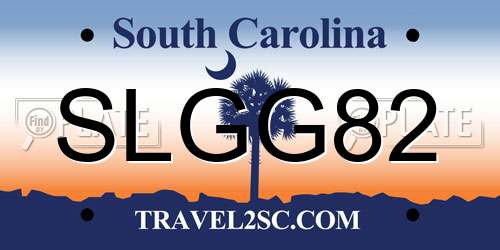 SLGG82 South Carolina License Plate