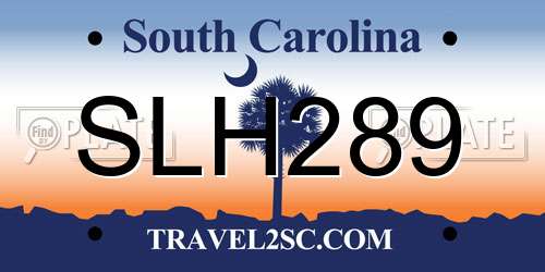 SLH289 South Carolina License Plate