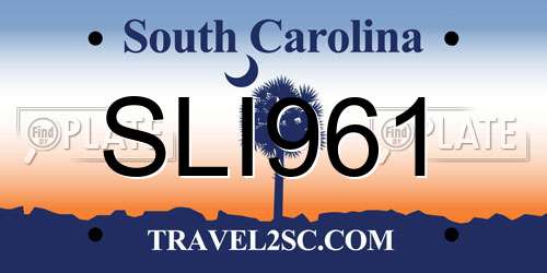 SLI961 South Carolina License Plate