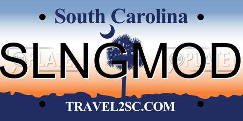 SLNGMOD South Carolina License Plate