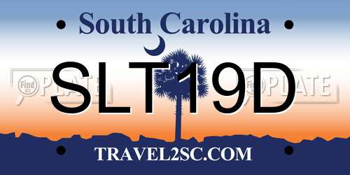 SLT19D South Carolina License Plate