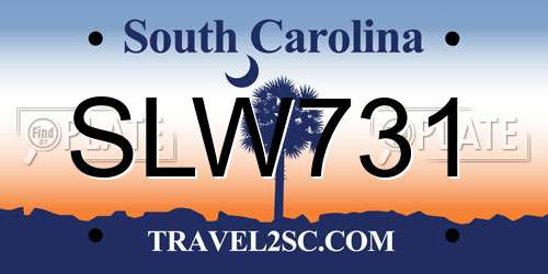 SLW731 South Carolina License Plate