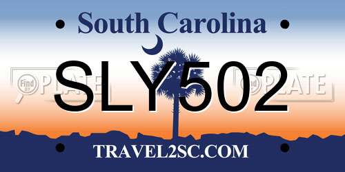 SLY502 South Carolina License Plate