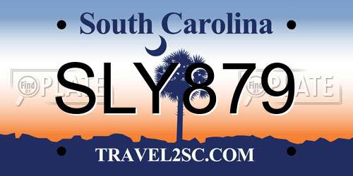 SLY879 South Carolina License Plate