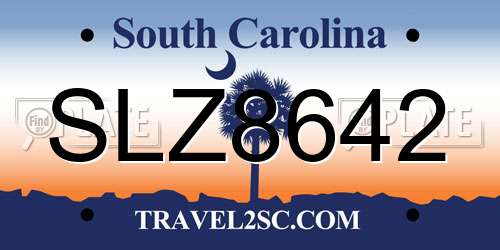 SLZ8642 South Carolina License Plate