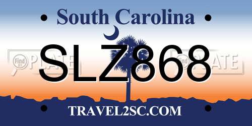 SLZ868 South Carolina License Plate