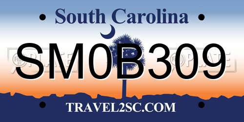 SM0B309 South Carolina License Plate