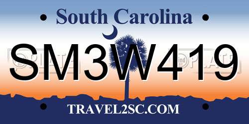 SM3W419 South Carolina License Plate