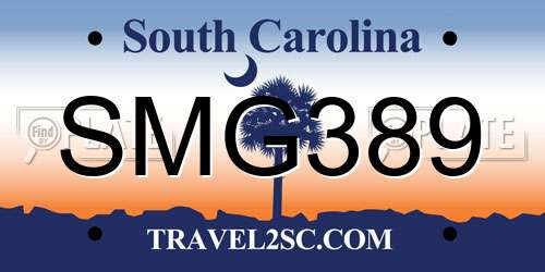 SMG389 South Carolina License Plate