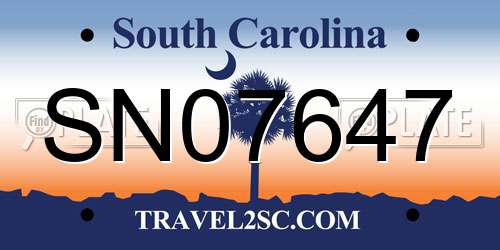SN07647 South Carolina License Plate