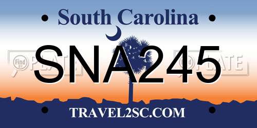 SNA245 South Carolina License Plate
