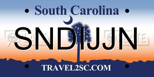 SNDIJJN South Carolina License Plate