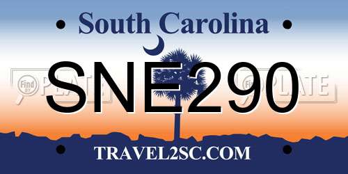 SNE290 South Carolina License Plate