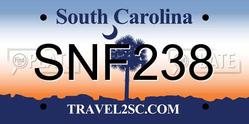 SNF238 South Carolina License Plate
