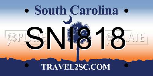SNI818 South Carolina License Plate