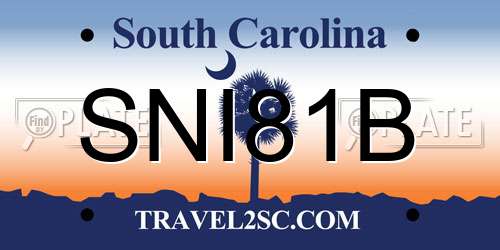 SNI81B South Carolina License Plate