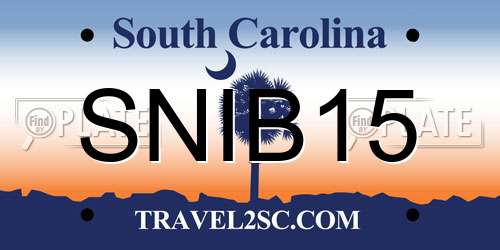 SNIB15 South Carolina License Plate