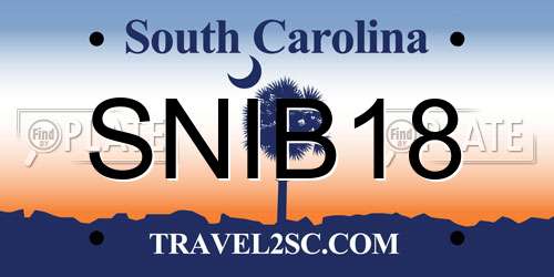 SNIB18 South Carolina License Plate